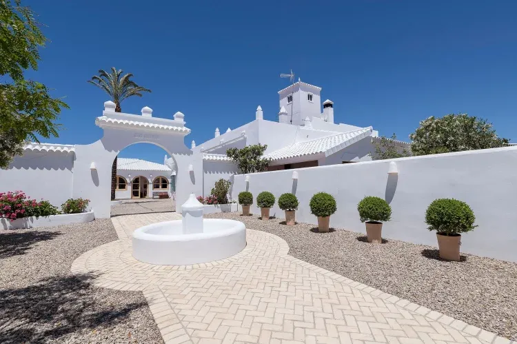 Imagen de Entrada y Patio Palmera