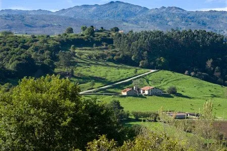 Imagen de Finca y entorno