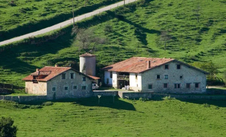 Imagen de Finca