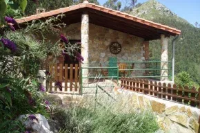 Imagen de La Cuca