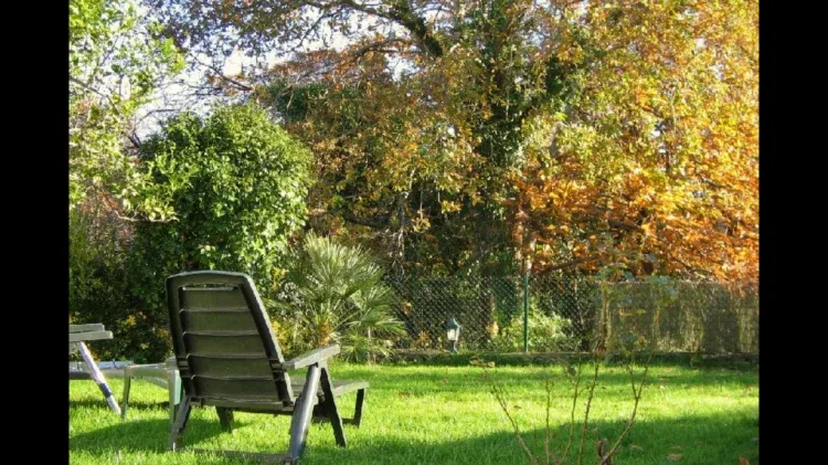 Imagen de jardín terrero