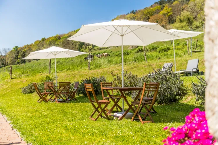 Imagen de Jardin