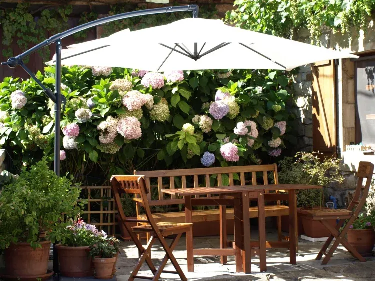 Imagen de Terraza