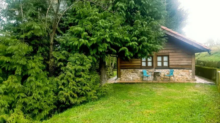 Imagen de Cabañuco