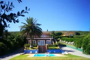 Imagen de La Palmera de la Playa