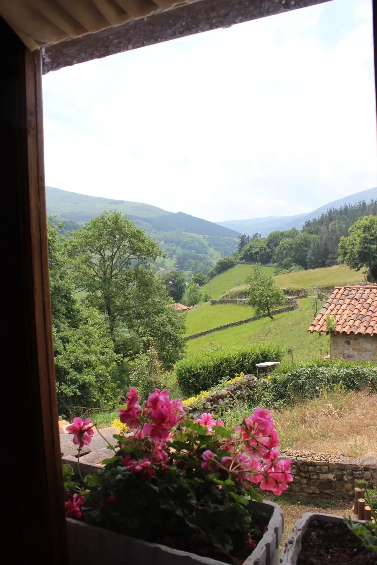 Imagen de Vista desde la ventana