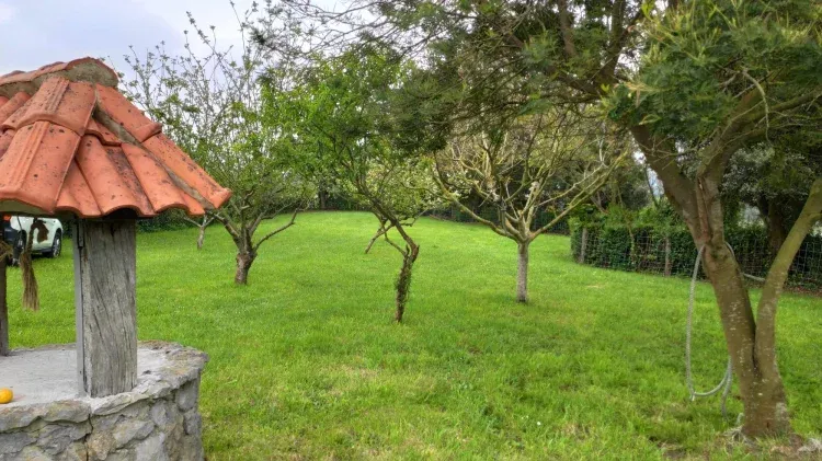 Imagen de Jardín 