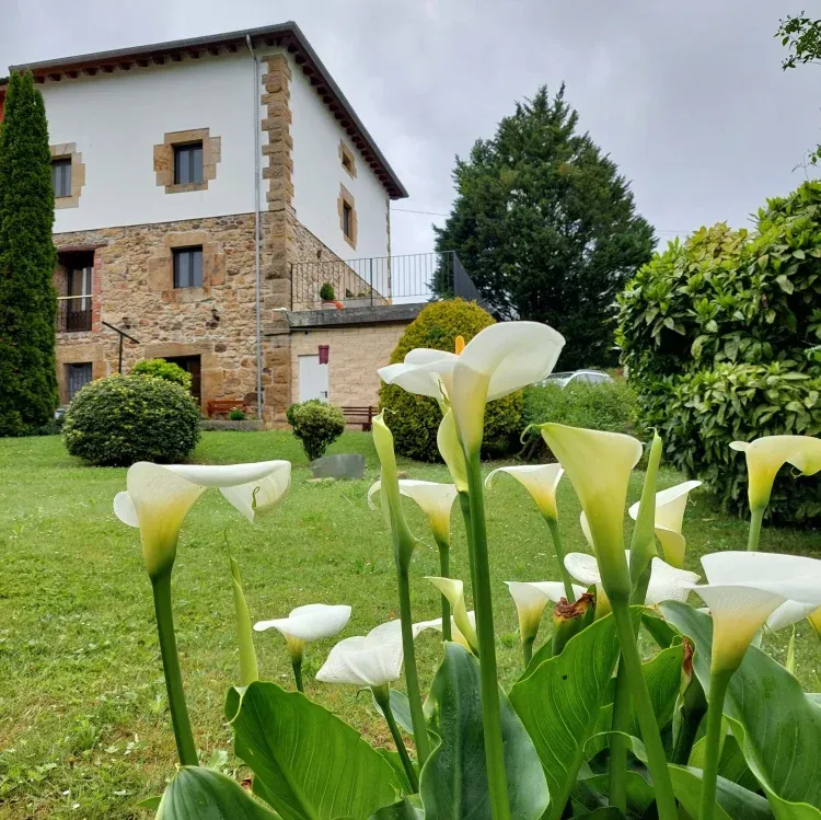 Imagen de Jardin Trasero