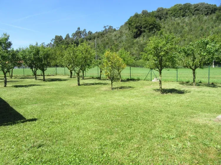 Imagen de jardín