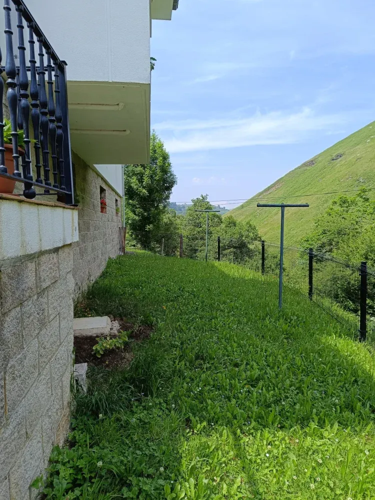 Imagen de Jardín