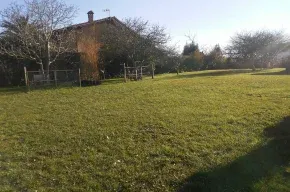 Imagen de Vivienda la Palmera
