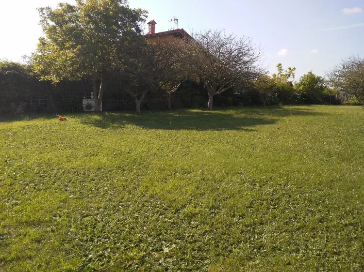 Imagen de jardín comunitario
