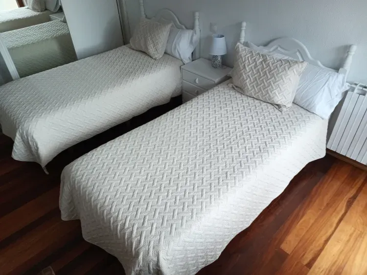Imagen de Habitaci&oacute;n con dos camas individuales 