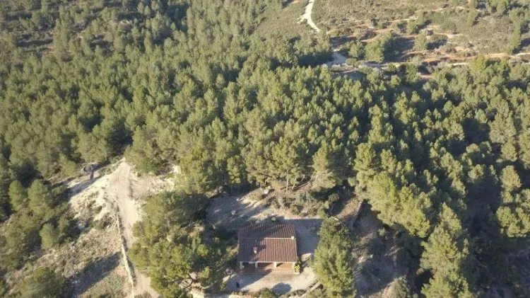 Imagen de Finca La Miguelota