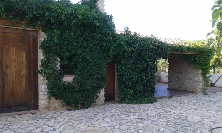 Imagen de exterior masia