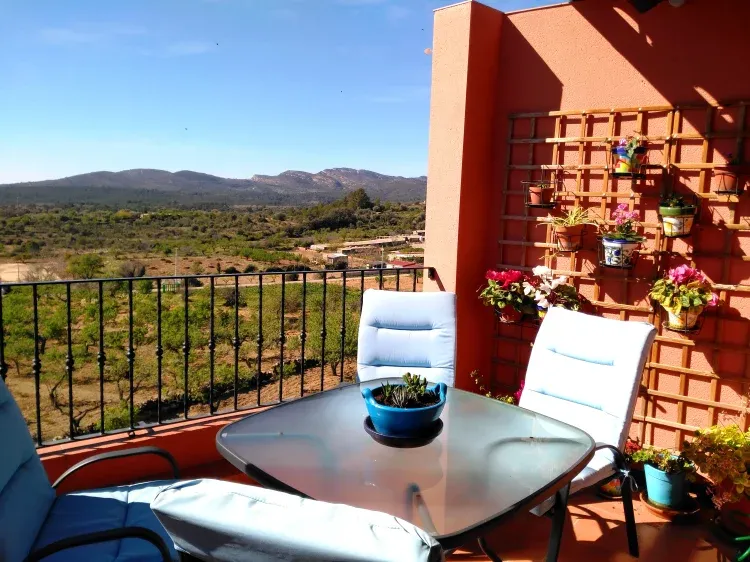 Imagen de TERRAZA