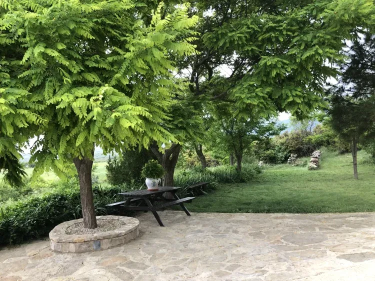 Imagen de JARDIN