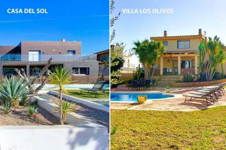 Imagen de Sol y Olivos