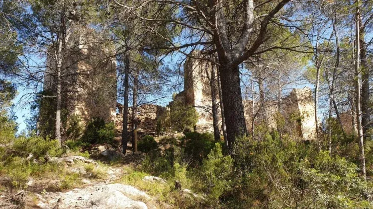Imagen de Castillo