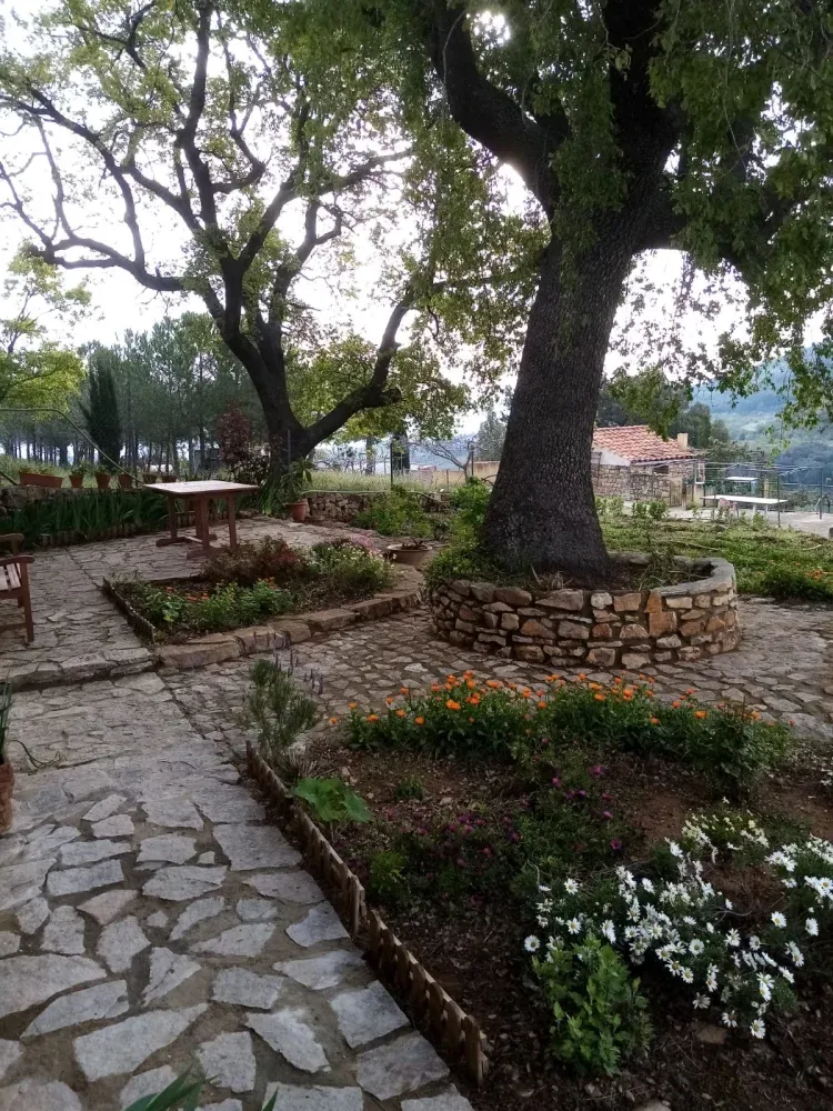 Imagen de roble entrada