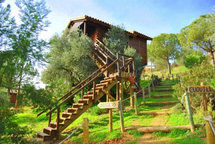 Imagen de Cabaña Nido