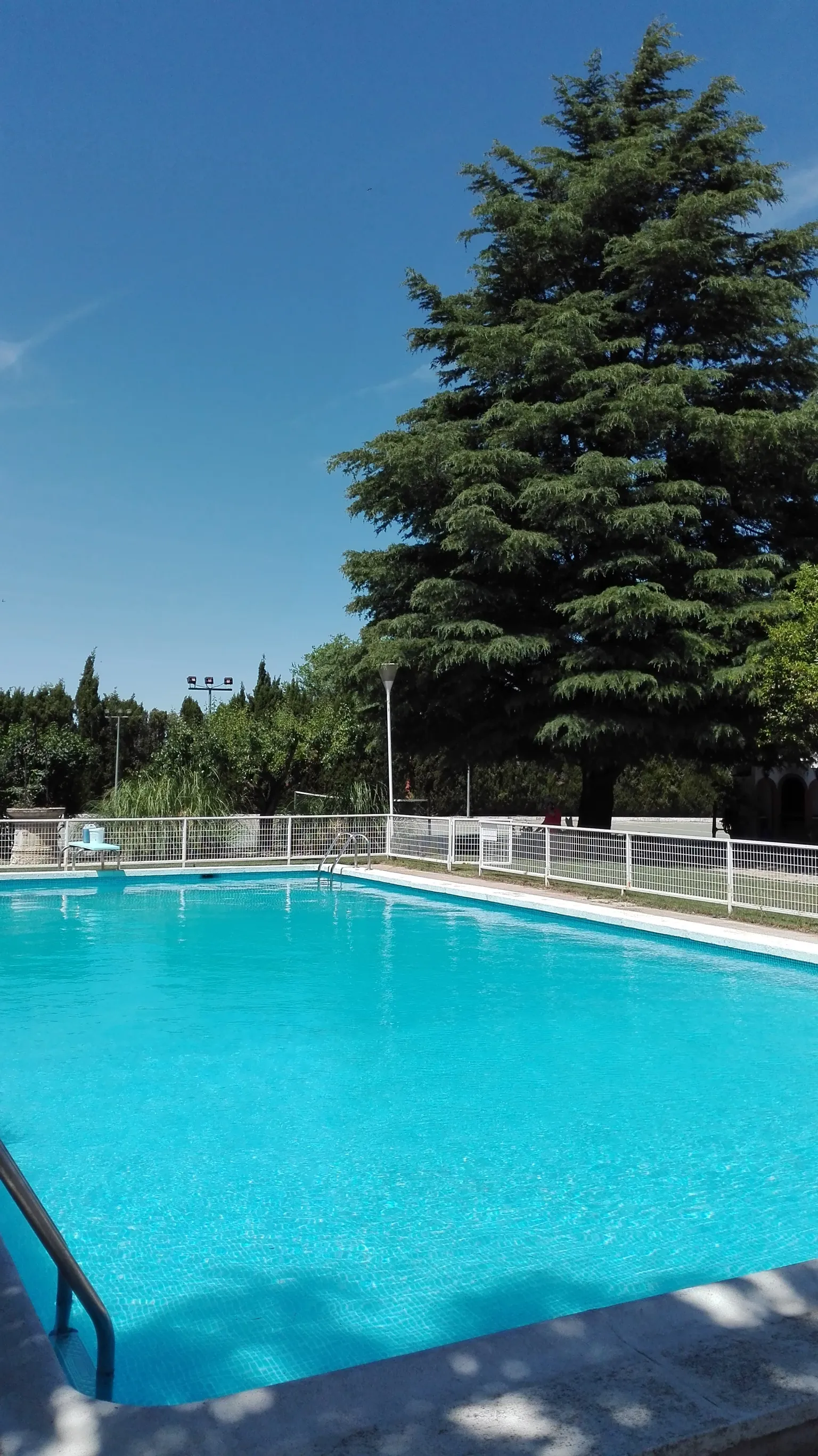 Imagen de PISCINA