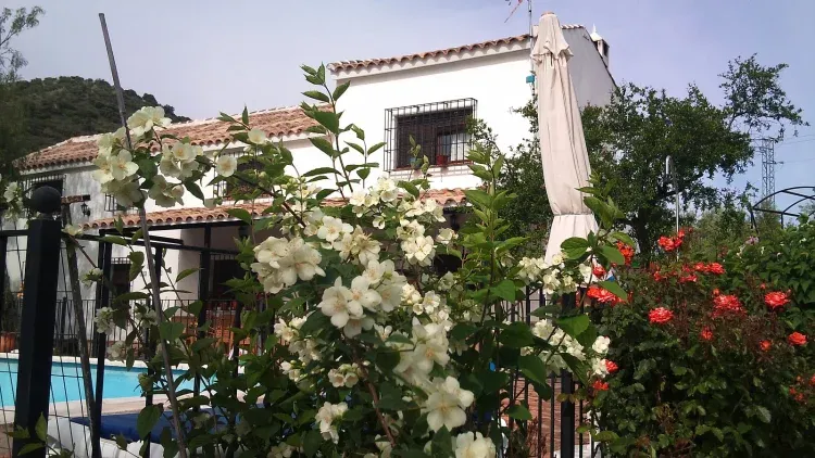 Imagen de Vista de la casa desde el jardín.