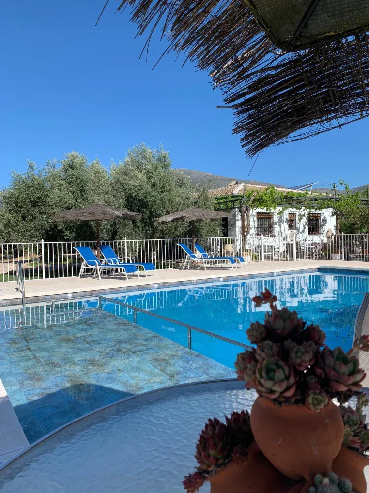 Imagen de Piscina reformada