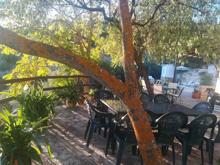 Imagen de En la terraza