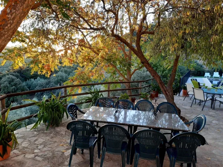 Imagen de En la terraza