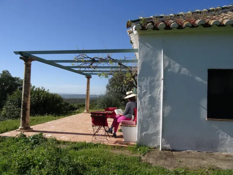 Imagen de Terraza con maravillosas vistas
