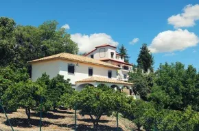 Imagen de El Carmen