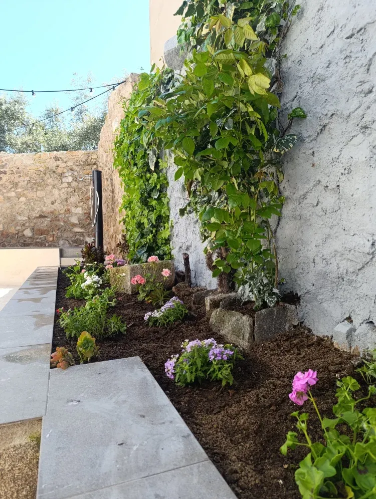 Imagen de Jardin
