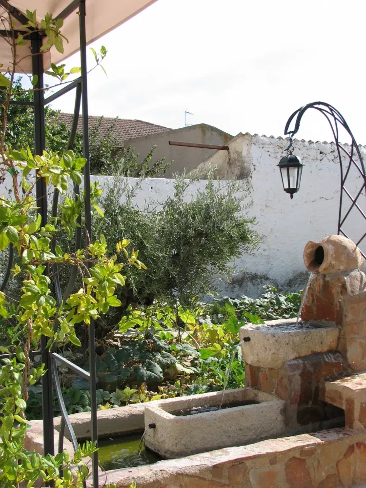 Imagen de patio-jardin