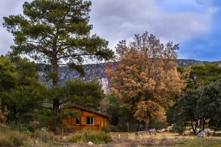 Imagen de cabaña en otoño