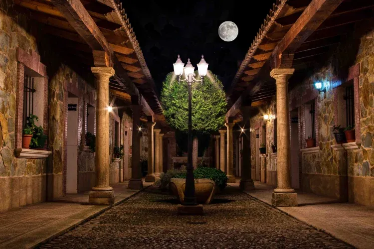 Imagen de PATIO INTERIOR