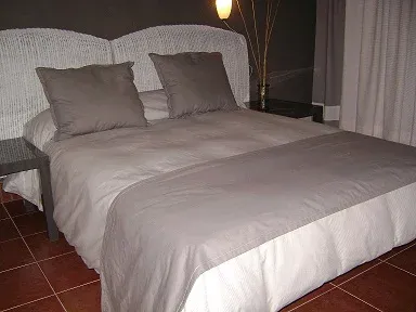 Imagen de Habitación doble gris