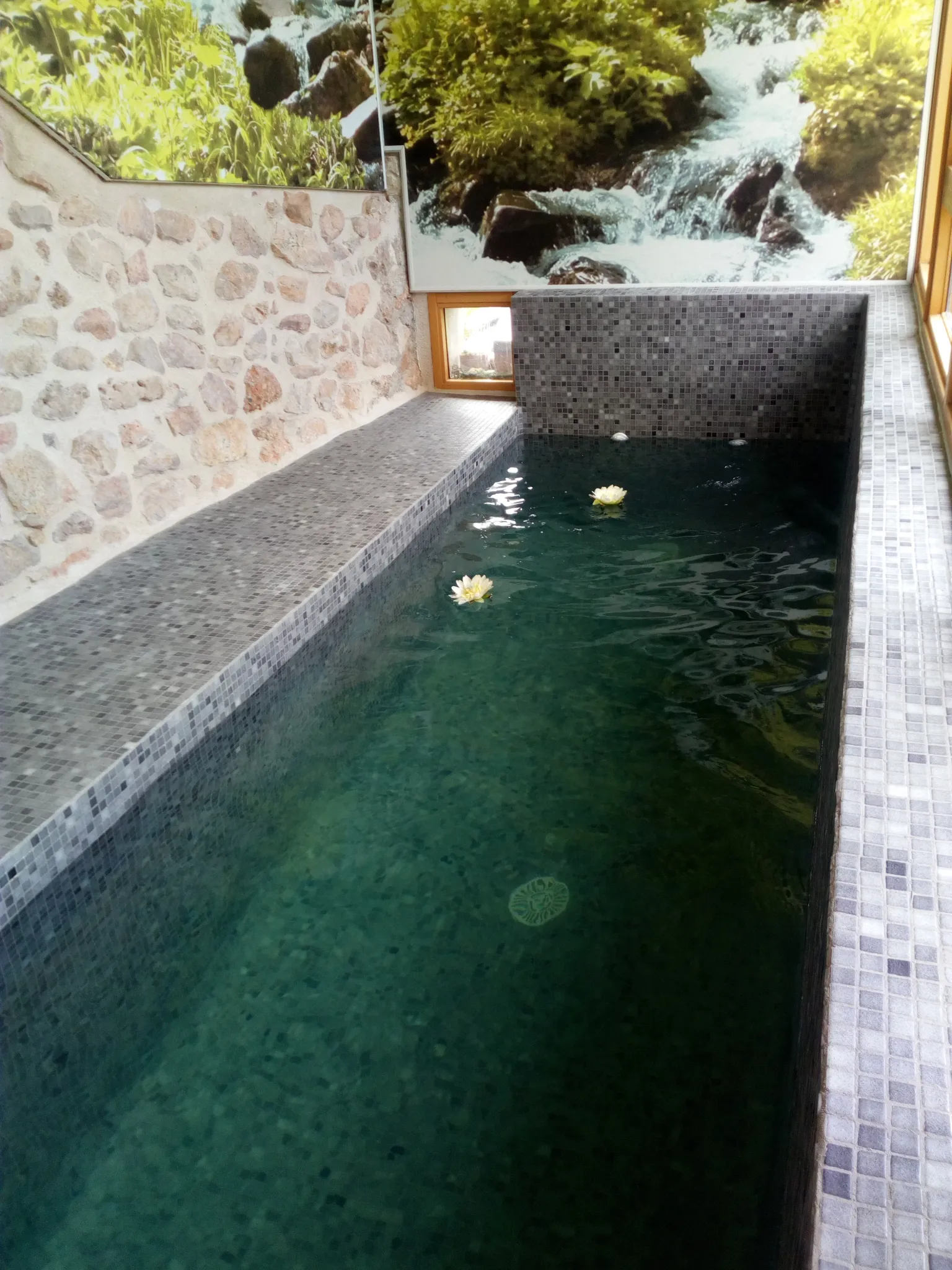 Imagen de Piscina climatizada, depuración salina