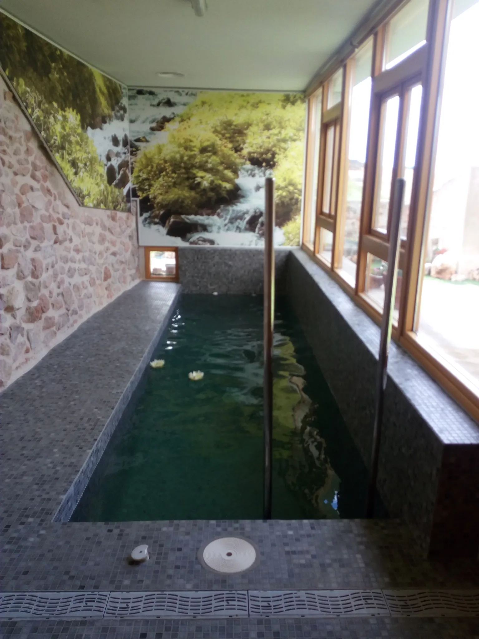Imagen de Piscina climatizad interior