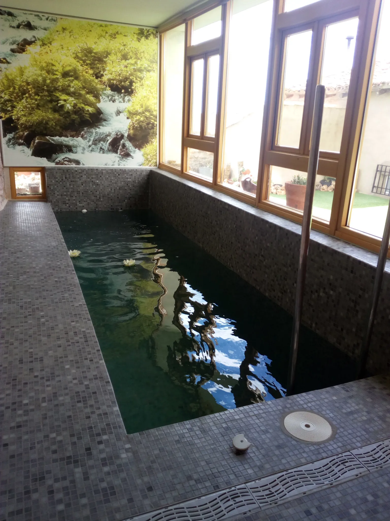 Imagen de Piscina climatizada interior