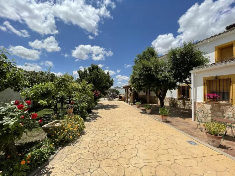 Imagen de Jardín 
