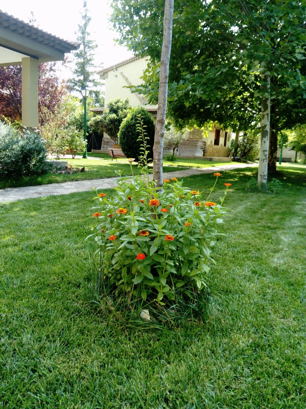 Imagen de Exterior