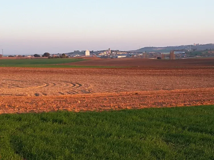 Imagen de Pueblo manchego