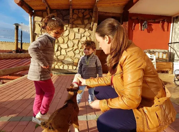 Imagen de Terraza 