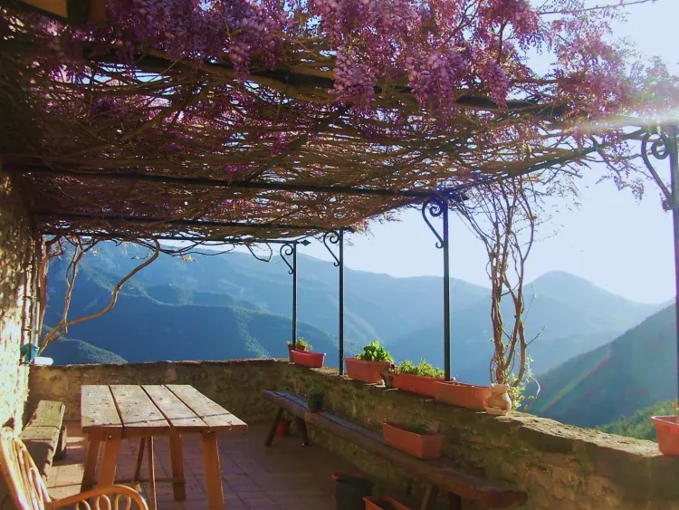 Imagen de  La terraza 