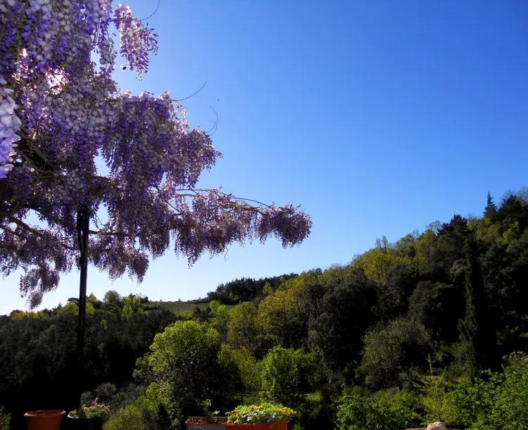 Imagen de Vista desde la terraza