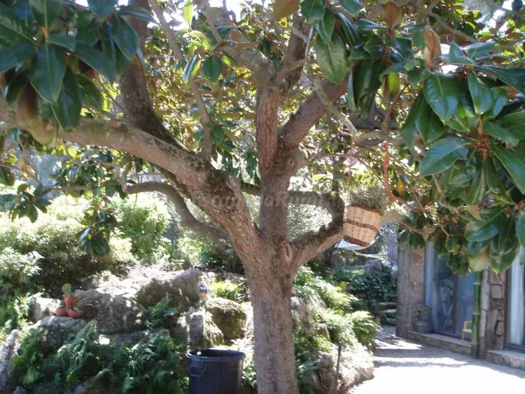 Imagen de Jardin