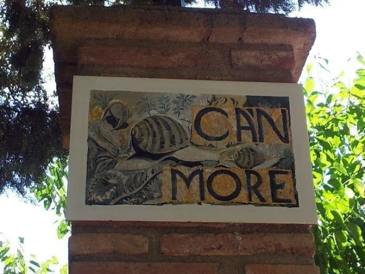 Imagen de CAN MORE 