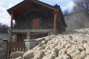 Imagen de La Cabanya de Cal Forn