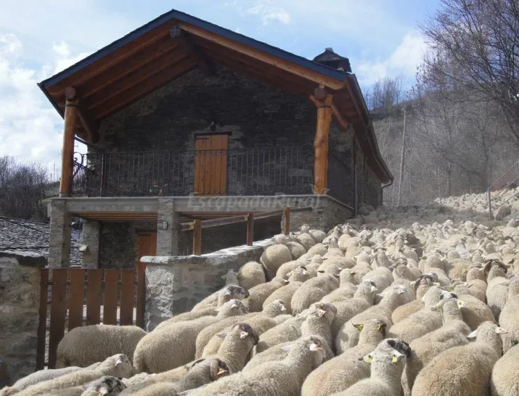 Imagen de LA CABANYA DE CAL FORN